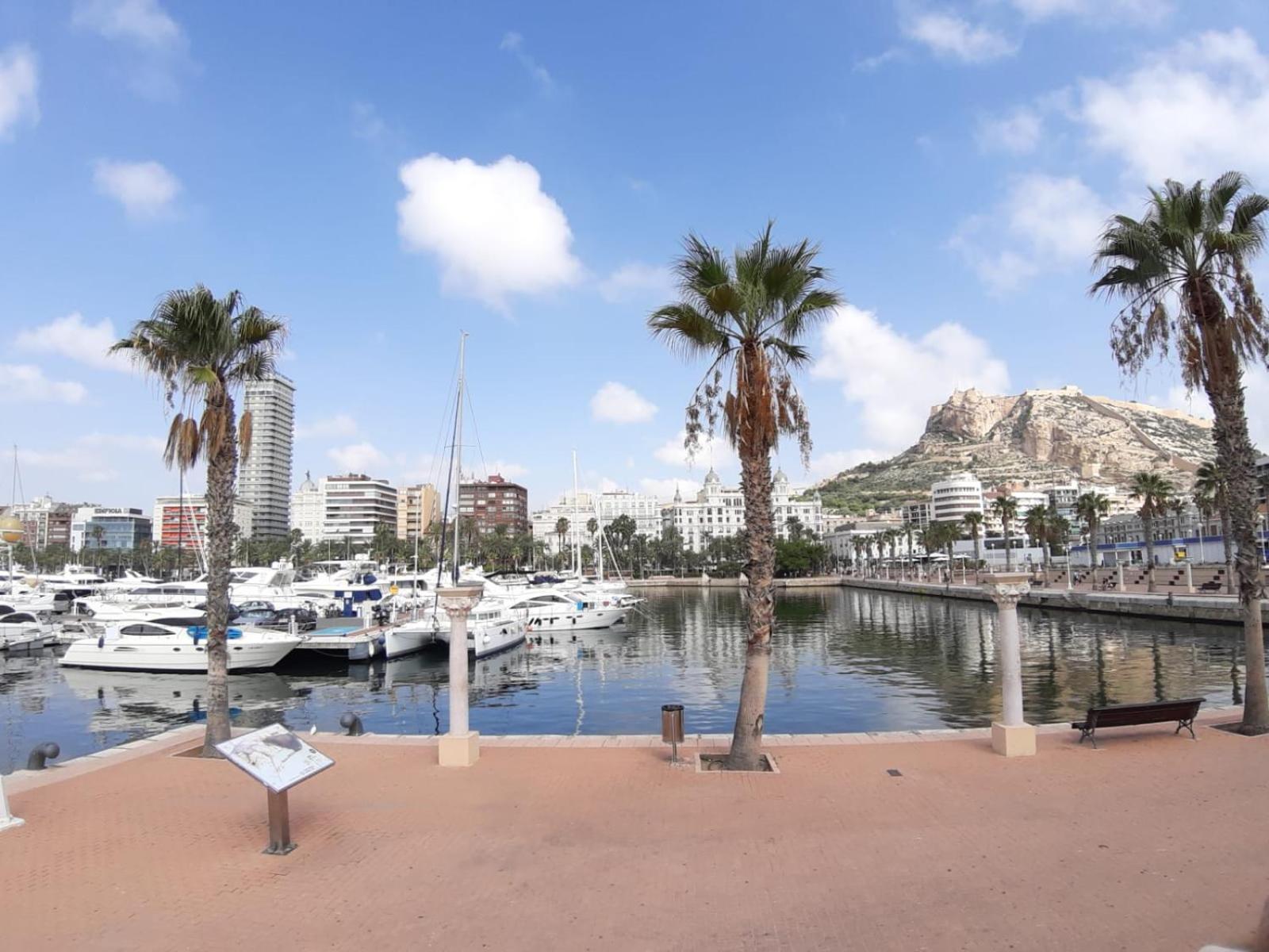 Apartamento Grande-Centro Barrio Playa Alicante Exterior foto